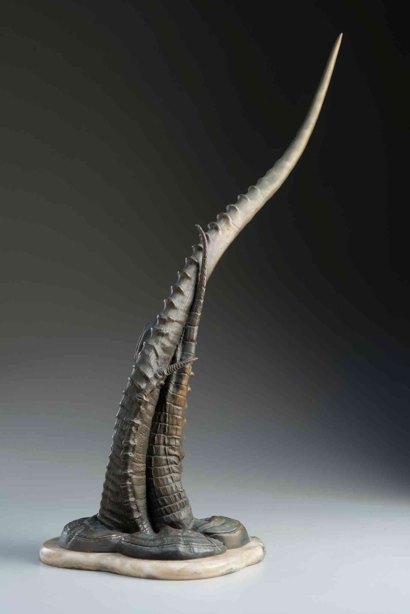 Ammoryx artwork by Andrew Werby, view 1956